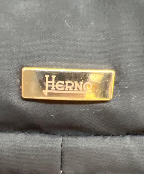 HERNO（ヘルノ）HERNO (ヘルノ) ダウンコート ネイビー サイズ:42の古着・服飾アイテム