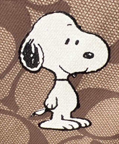COACH（コーチ）COACH (コーチ) SNOOPY (スヌーピー) プルオーバーパーカー ブラウン サイズ:Mの古着・服飾アイテム