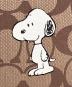 中古・古着 COACH (コーチ) SNOOPY (スヌーピー) プルオーバーパーカー ブラウン サイズ:M：18000円