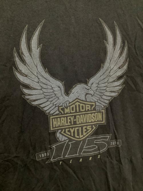HARLEY-DAVIDSON（ハーレーダビッドソン）HARLEY-DAVIDSON (ハーレーダビッドソン) 半袖カットソー ブラック サイズ:XLの古着・服飾アイテム
