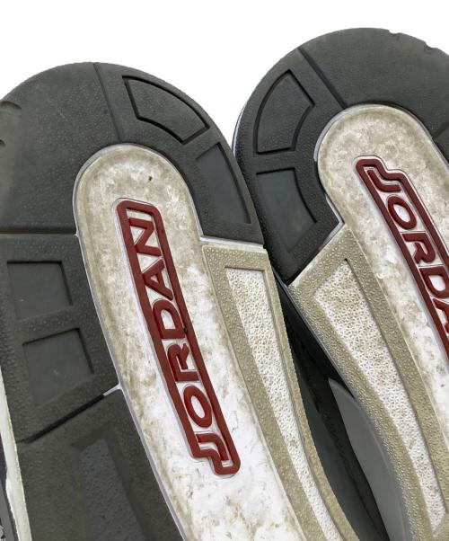 NIKE（ナイキ）NIKE (ナイキ) AIR JORDAN 3 RETRO グレー サイズ:28cmの古着・服飾アイテム