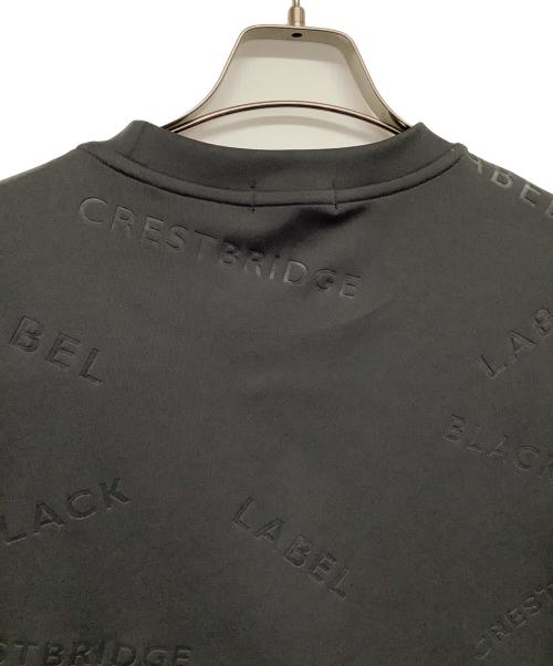 BLACK LABEL CRESTBRIDGE（ブラックレーベル クレストブリッジ）BLACK LABEL CRESTBRIDGE (ブラックレーベル クレストブリッジ) 半袖カットソー グレー サイズ:Lの古着・服飾アイテム