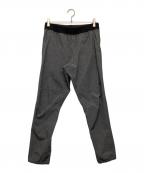 THE NORTH FACEザ ノース フェイス）の古着「トレーニングリブパンツ」｜グレー
