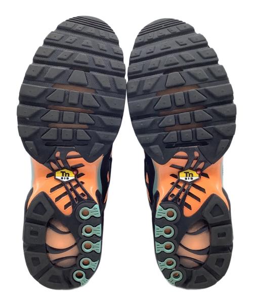 NIKE（ナイキ）NIKE (ナイキ) Air Max Plus 'South Beach' ブルー×オレンジ サイズ:28の古着・服飾アイテム
