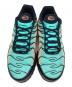 中古・古着 NIKE (ナイキ) Air Max Plus 'South Beach' ブルー×オレンジ サイズ:28：10000円