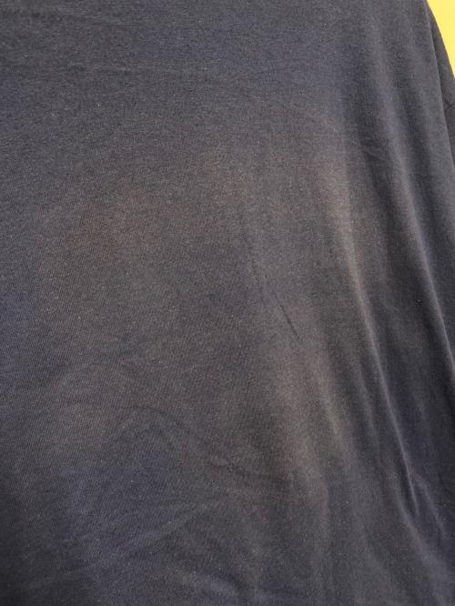 Champion（チャンピオン）Champion (チャンピオン) ベースボールプリントtシャツ ブルー サイズ:XLの古着・服飾アイテム