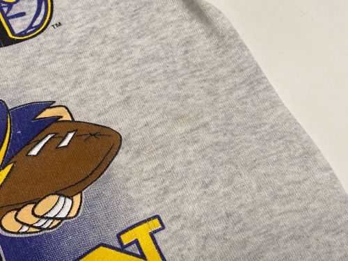 DELTA（デルタ）DELTA (デルタ) VIKINGSプリントクルーネックスウェット グレー サイズ:Lの古着・服飾アイテム