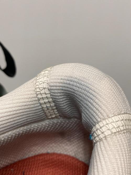 NIKE ACG（ナイキエーシージー）NIKE ACG (ナイキエージーシー) Mountain Fly 2 Low GORE-TEX / ローカットスニーカー ホワイト×グレー サイズ:US8.5の古着・服飾アイテム