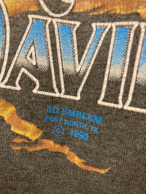 HARLEY-DAVIDSON（ハーレーダビッドソン）HARLEY-DAVIDSON (ハーレーダビッドソン) イーグルプリントTシャツ グレー サイズ:XLの古着・服飾アイテム