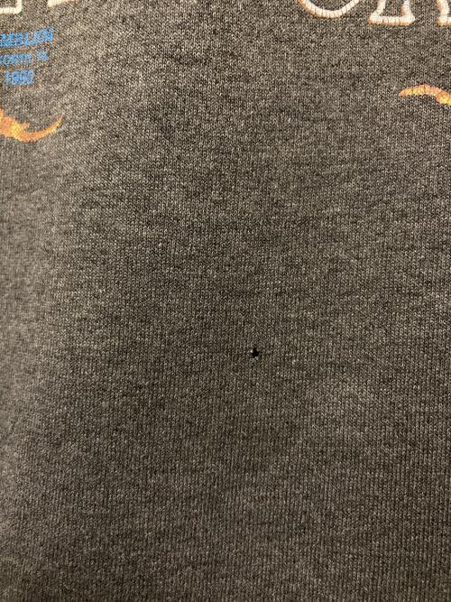 HARLEY-DAVIDSON（ハーレーダビッドソン）HARLEY-DAVIDSON (ハーレーダビッドソン) イーグルプリントTシャツ グレー サイズ:XLの古着・服飾アイテム