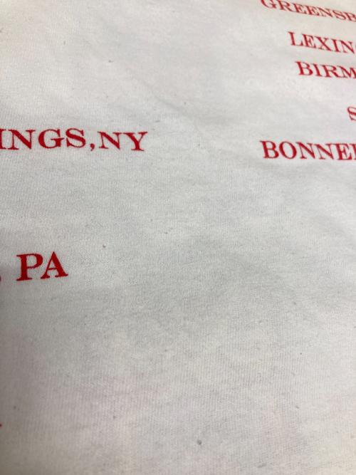 FRUIT OF THE LOOM（フルーツオブザルーム）FRUIT OF THE LOOM (フルーツオブザルーム) 00s Guns N' RosesプリントTシャツ ホワイト サイズ:XLの古着・服飾アイテム