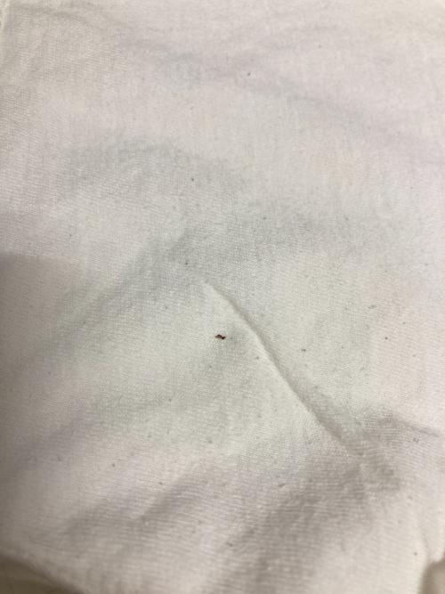 FRUIT OF THE LOOM（フルーツオブザルーム）FRUIT OF THE LOOM (フルーツオブザルーム) 00s Guns N' RosesプリントTシャツ ホワイト サイズ:XLの古着・服飾アイテム