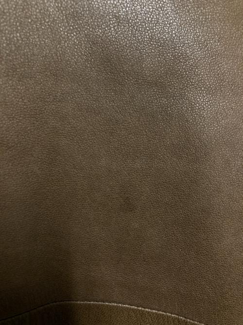 POLO RALPH LAUREN（ポロ・ラルフローレン）POLO RALPH LAUREN (ポロ・ラルフローレン) レザースイングトップ ブラウン サイズ:Sの古着・服飾アイテム