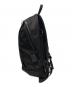 WEXLEY (ウェクスレイ) STEM / DAYPACK SERIES ブラック：10000円