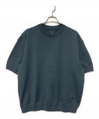 THE NORTH FACEザ ノース フェイス）の古着「26SS ショートスリーブリップルニットクルー」｜スレートグレー