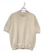 THE NORTH FACEザ ノース フェイス）の古着「26SS ショートスリーブリップルニットクルー」｜アイボリー