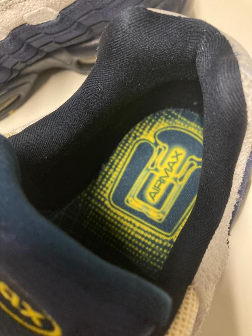 NIKE SB（ナイキエスビー）NIKE SB (ナイキエスビー) Eric Koston (エリック・コストン) AIR MAX 95 ネイビー サイズ:US10の古着・服飾アイテム