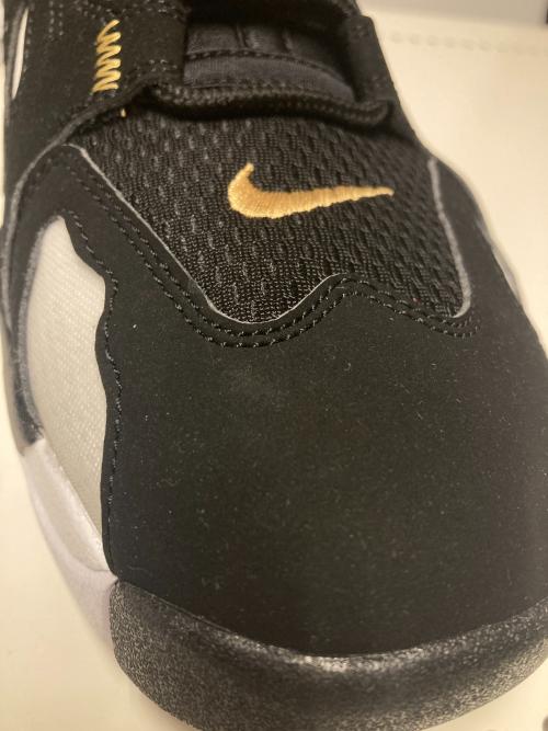 NIKE（ナイキ）NIKE (ナイキ) AIR DT MAX '96 LOW ブラック×ホワイト サイズ:US10の古着・服飾アイテム