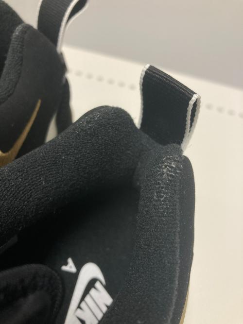NIKE（ナイキ）NIKE (ナイキ) AIR DT MAX '96 LOW ブラック×ホワイト サイズ:US10の古着・服飾アイテム