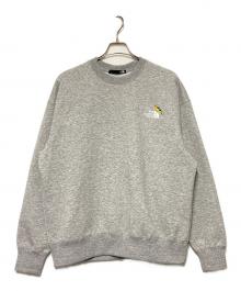 THE NORTH FACE（ザ ノース フェイス）の古着「Zoo Picker Crew / 裏起毛クルーネックスウェット」｜グレー