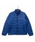 Patagonia（パタゴニア）の古着「ダウンセーター」｜ブルー