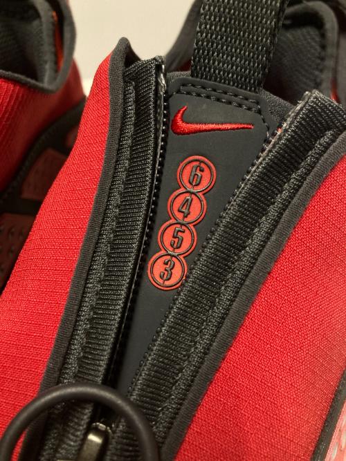 NIKE（ナイキ）NIKE (ナイキ) AIR MAX SNDR GORE-TEX レッド サイズ:US9.5の古着・服飾アイテム