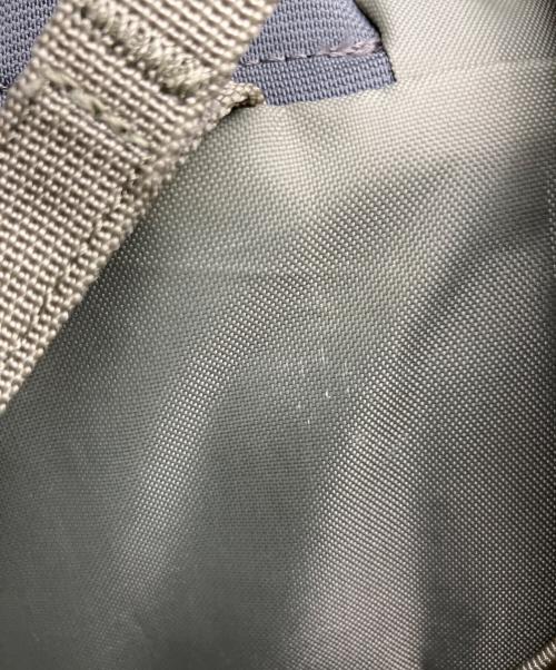 Patagonia（パタゴニア）Patagonia (パタゴニア) Terravia Pack 28L ベージュの古着・服飾アイテム