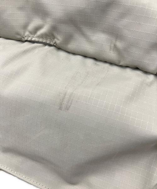 Patagonia（パタゴニア）Patagonia (パタゴニア) Terravia Pack 28L ベージュの古着・服飾アイテム