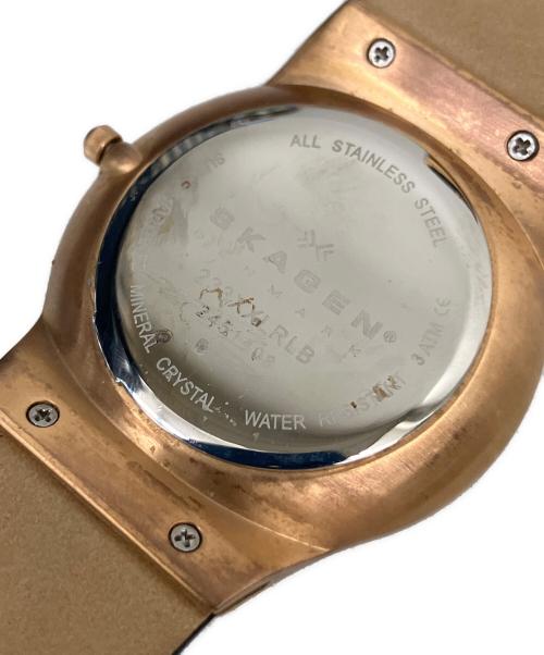 SKAGEN（スカーゲン）SKAGEN (スカーゲン) リストウォッチの古着・服飾アイテム
