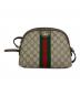 GUCCI (グッチ) ショルダーバッグ ベージュ：80000円