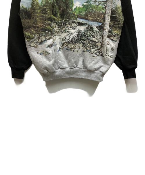 Art Unlimited sportswear（アートアンリミテッドスポーツウェア）Art Unlimited sportswear (アートアンリミテッドスポーツウェア) アートプリントスウェット グレー サイズ:表記なしの古着・服飾アイテム