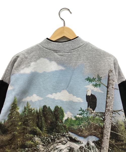 Art Unlimited sportswear（アートアンリミテッドスポーツウェア）Art Unlimited sportswear (アートアンリミテッドスポーツウェア) アートプリントスウェット グレー サイズ:表記なしの古着・服飾アイテム