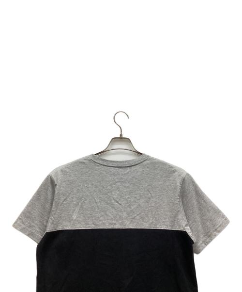 THE NORTH FACE（ザ ノース フェイス）THE NORTH FACE (ザ ノース フェイス) ポケットカットソー ブラック×グレー サイズ:Lの古着・服飾アイテム