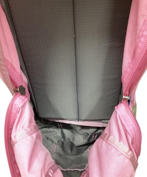 GREGORY（グレゴリー）GREGORY (グレゴリー) バックパック ピンクの古着・服飾アイテム