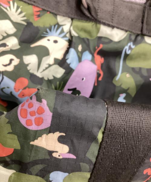 LeSportsac（レスポートサック）LeSportsac (レスポートサック) 2WAYバッグ グリーンの古着・服飾アイテム