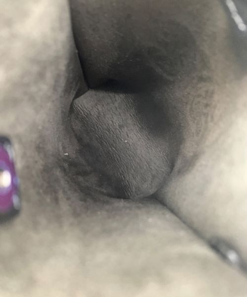 MACKINTOSH LONDON（マッキントッシュ ロンドン）MACKINTOSH LONDON (マッキントッシュ ロンドン) Mモチーフミニポシェット ブラックの古着・服飾アイテム