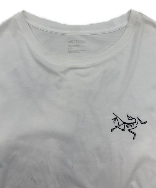 ARC'TERYX（アークテリクス）ARC'TERYX (アークテリクス) アークマルチバード ロゴ ロングスリーブ ホワイト サイズ:Lの古着・服飾アイテム