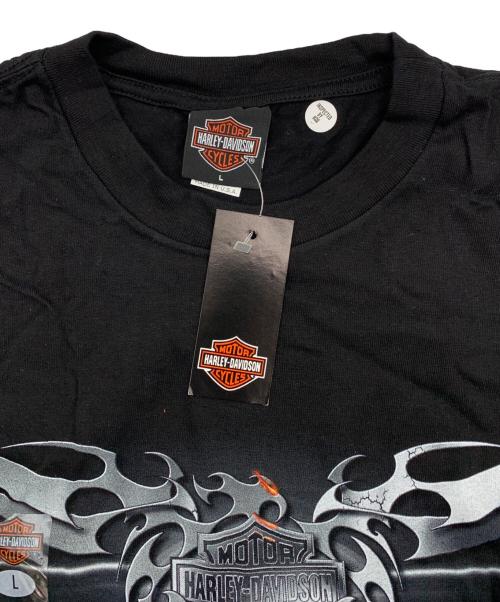 HARLEY-DAVIDSON（ハーレーダビッドソン）HARLEY-DAVIDSON (ハーレーダビッドソン) HOLOUBEK (ホロウベック) 00'sプリントTシャツ ブラック サイズ:Lの古着・服飾アイテム