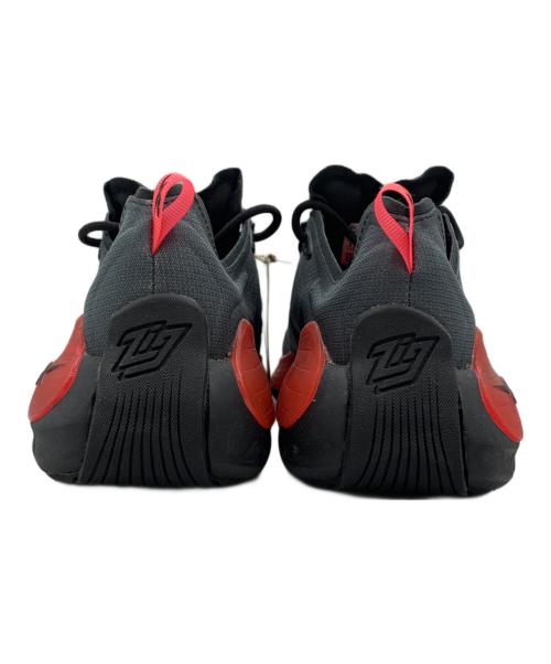REEBOK（リーボック）REEBOK (リーボック) ZIG KINETICA 2/ジグキネティカ2 グレー×レッド サイズ:27.0cmの古着・服飾アイテム