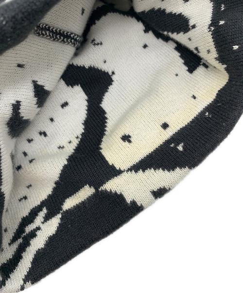 ARC'TERYX（アークテリクス）ARC'TERYX (アークテリクス) ニット帽の古着・服飾アイテム