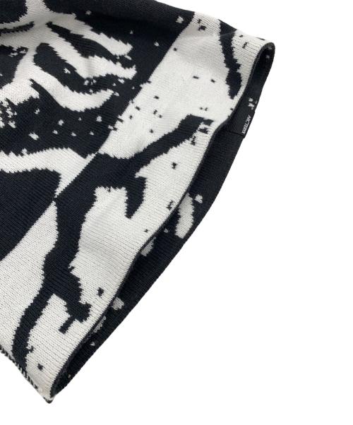 ARC'TERYX（アークテリクス）ARC'TERYX (アークテリクス) ニット帽の古着・服飾アイテム