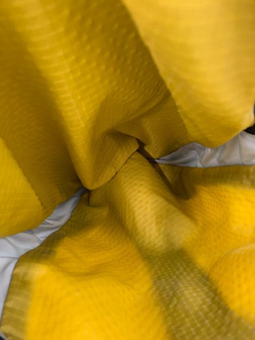 GREGORY（グレゴリー）GREGORY (グレゴリー) バックパック イエロー×グレーの古着・服飾アイテム