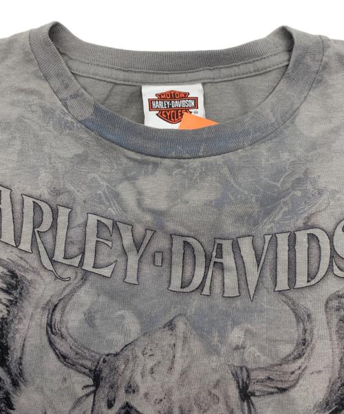 HARLEY-DAVIDSON（ハーレーダビッドソン）HARLEY-DAVIDSON (ハーレーダビッドソン) 半袖カットソー グレー サイズ:Ｍの古着・服飾アイテム
