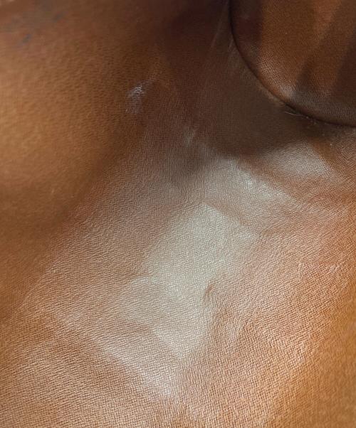 LOUIS VUITTON（ルイ ヴィトン）LOUIS VUITTON (ルイ ヴィトン) パピヨンGMの古着・服飾アイテム