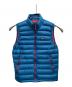 Patagonia（パタゴニア）の古着「ダウンベスト」｜ブルー