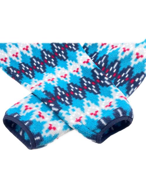 Patagonia（パタゴニア）Patagonia (パタゴニア) フリースジャケット ブルー サイズ:Lの古着・服飾アイテム