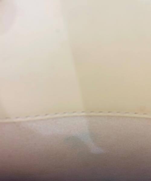 LOUIS VUITTON（ルイ ヴィトン）LOUIS VUITTON (ルイ ヴィトン) ハンドバッグ ヴァニラの古着・服飾アイテム