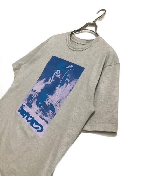 HERON PRESTON（ヘロンプレストン）HERON PRESTON (ヘロンプレストン) 半袖カットソー ライトグレー サイズ:Sの古着・服飾アイテム