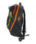 中古・古着 ARC'TERYX (アークテリクス) BEAMS (ビームス) バックパック ブラック：23000円