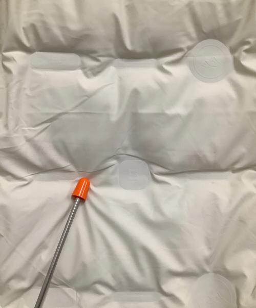 EMMAUELA（エマヌエーラ）EMMAUELA (エマヌエーラ) ダウンジャケット ホワイト サイズ:48の古着・服飾アイテム